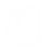 Globe icon